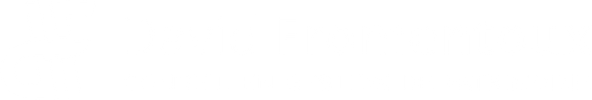 David Fromentoux Conseil